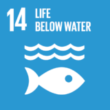 https://www.sassbahamas.org/gensdg/wp-content/uploads/sites/2/2023/10/E_SDG_Icons-14-1-160x160.png