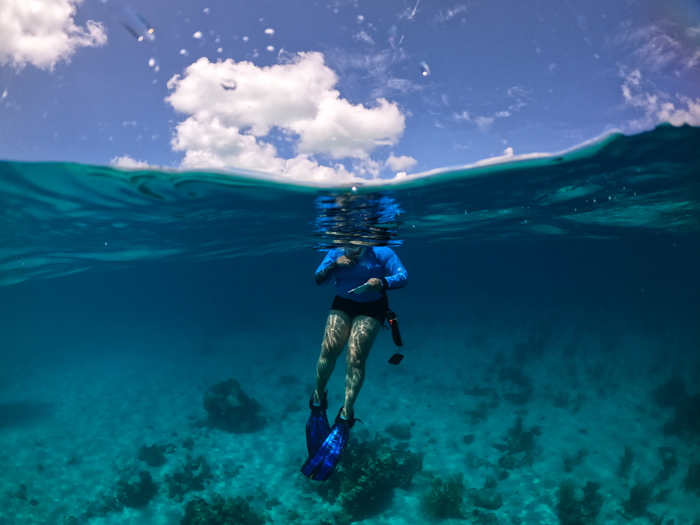 DCIM100GOPROGOPR1855.JPG