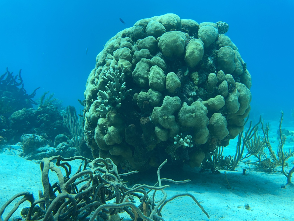 https://www.sassbahamas.org/gensdg/wp-content/uploads/sites/2/2023/11/IMG_2378-1.jpg