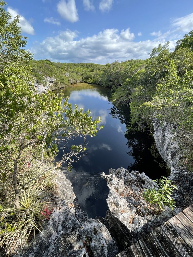 https://www.sassbahamas.org/gensdg/wp-content/uploads/sites/2/2023/11/IMG_3507-rotated.jpg