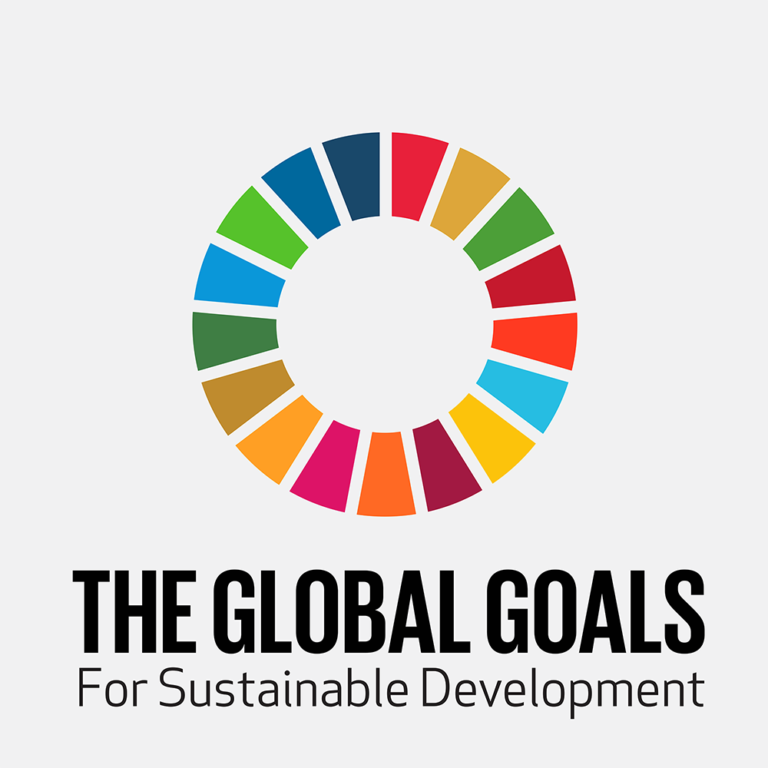 United Nations Sustainable Development Goals’ official website
